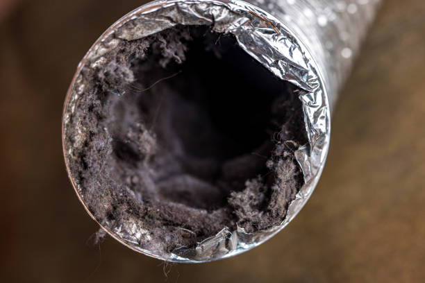 Best Emergency Air Duct Cleaning  in Karns, TN