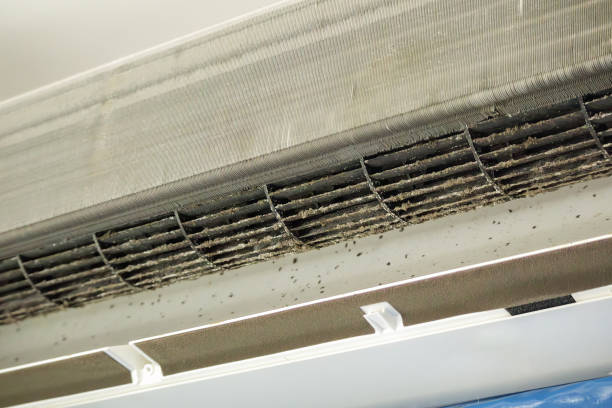 Best Air Duct Cleaning Near Me  in Karns, TN